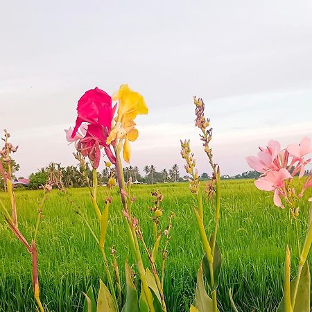 Kurau Inn Farmstay Kuala Kurau Екстериор снимка