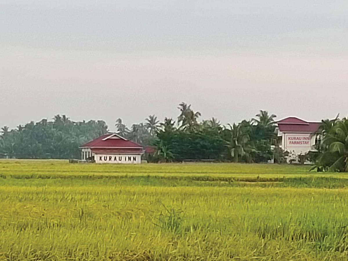Kurau Inn Farmstay Kuala Kurau Екстериор снимка