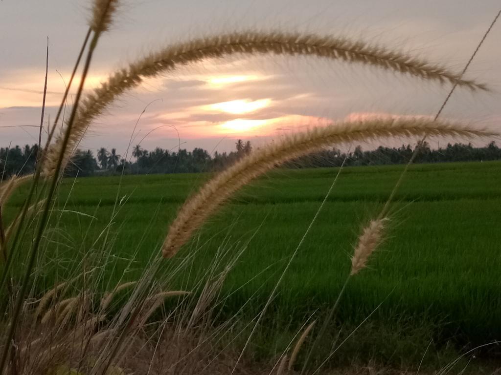 Kurau Inn Farmstay Kuala Kurau Екстериор снимка