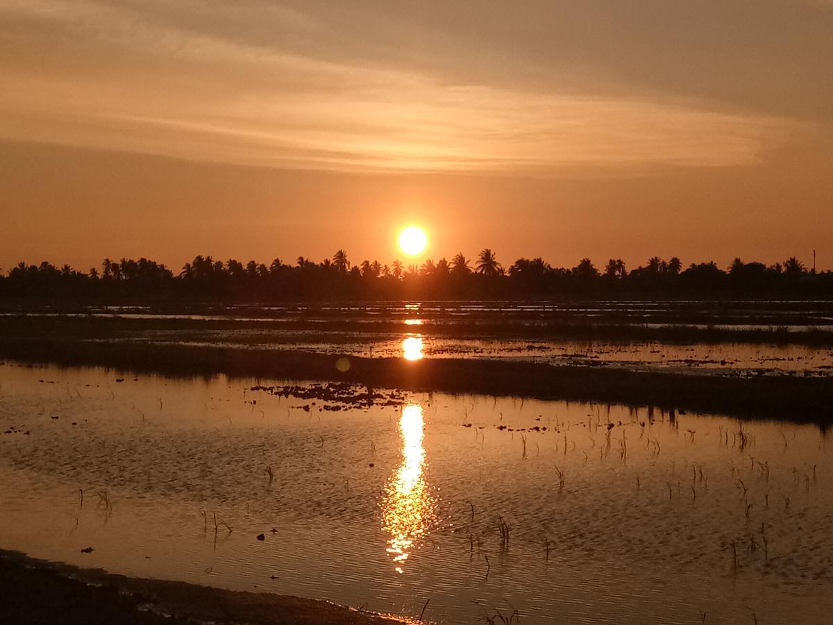 Kurau Inn Farmstay Kuala Kurau Екстериор снимка